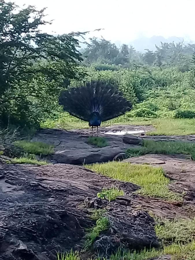 Janu Homestay Tangalle Bagian luar foto